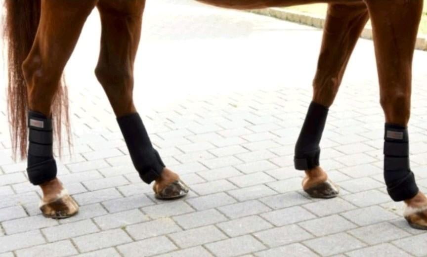 Covalliero peesbeschermers set van 4, Ophalen of Verzenden