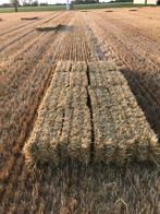 Kleine pakjes stro, Dieren en Toebehoren, Dierenvoeding, Ophalen of Verzenden, Vee