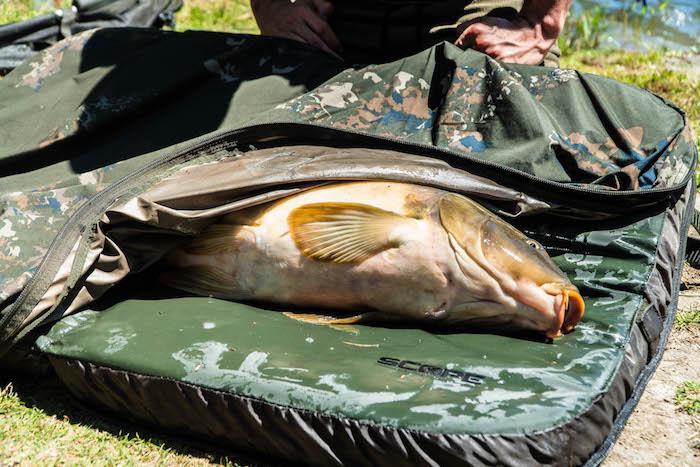 nash, Watersport en Boten, Hengelsport | Karpervissen, Zo goed als nieuw, Overige typen, Ophalen of Verzenden