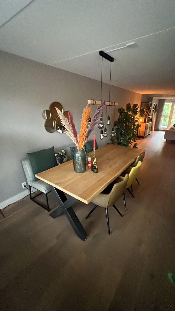 Boomstam eetkamerset met bank en lamp, Huis en Inrichting, Tafels | Eettafels, Zo goed als nieuw, 50 tot 100 cm, 200 cm of meer