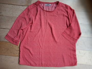ZGAN Scotch & Soda tuniek XL beschikbaar voor biedingen