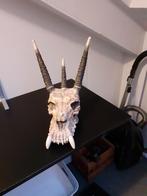 Drakenschedel, Ophalen of Verzenden