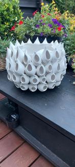 Mooie vazen Lees beschrijving, Huis en Inrichting, Woonaccessoires | Vazen, Overige materialen, Wit, Nieuw, Ophalen of Verzenden