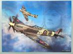 Spitfire 3D plaat poster kunststof wo2, Ophalen of Verzenden, Luchtmacht, Engeland