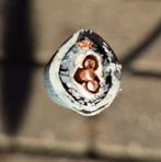***!!!!*** 5 METER XVMK-as 3x2,5 GRONDKABEL van PARTICULIER, Doe-het-zelf en Verbouw, Ophalen of Verzenden, Nieuw, Kabel of Snoer