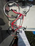 Race fiets Specialized Roubaix . Frame hoogte 54 cm, Carbon, Zo goed als nieuw, Meer dan 20 versnellingen, 53 tot 57 cm
