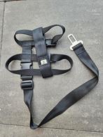 Autogordel hond, Ophalen of Verzenden