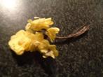 bosje met gele zijde bloemen op ijzerdraad 10 cm lang, Hobby en Vrije tijd, Knutselen, Nieuw, Ophalen of Verzenden, Materiaal