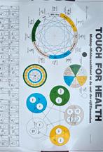 Kinesiologie Kaart - Touch for Health, Onbekend, Achtergrond en Informatie, Ophalen of Verzenden, Zo goed als nieuw
