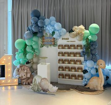 Partystyling dino  beschikbaar voor biedingen