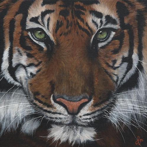 Fine Art Print: "Eye Of The Tiger" Tijger print, kunstwerk, Antiek en Kunst, Kunst | Schilderijen | Abstract, Verzenden