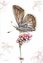 Michelle Dujardin - Nederlandse vlinders – Icarusblauwtje, Ongelopen, Ophalen of Verzenden, Natuur, 1980 tot heden