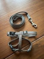 Kattentuigje Beeztees nieuw, Dieren en Toebehoren, Katten-accessoires, Ophalen of Verzenden, Nieuw