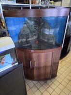 Juwel trigon 190 met meubel compleet, Dieren en Toebehoren, Vissen | Aquaria en Toebehoren, Ophalen, Gebruikt, -, -