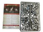 Warhammer Age of Sigmar Flesh Eater Courts Crypt Flayers, Warhammer, Ophalen of Verzenden, ., .