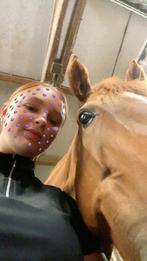 Bijrijder aangeboden, Dieren en Toebehoren, Ophalen of Verzenden, Zo goed als nieuw