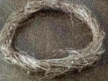 Gouden krans, takken krans, kerstkrans; 53 cm doorsnee goud beschikbaar voor biedingen