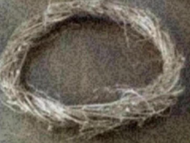 Gouden krans, takken krans, kerstkrans; 53 cm doorsnee goud, Huis en Inrichting, Woonaccessoires | Kransen, Zo goed als nieuw