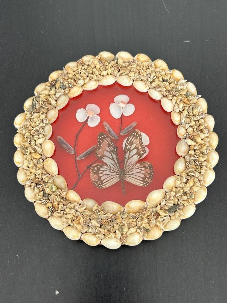 Heel mooi vintage schelpen schilderij met echte vlinder, Antiek en Kunst, Curiosa en Brocante, Verzenden