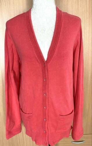 Roberto Sarto vest maat L [DM], Kleding | Dames, Truien en Vesten, Zo goed als nieuw, Maat 42/44 (L), Overige kleuren, Ophalen of Verzenden