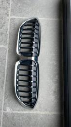 Bmw nieren 3 serie G20, Ophalen of Verzenden, Gebruikt, Voor, BMW