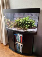 Aquarium Juwel Vision 180 SB, Dieren en Toebehoren, Vissen | Aquaria en Toebehoren, Ophalen, Gebruikt, Gevuld zoetwateraquarium