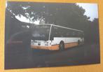Foto bus Connexxion 1231, Ophalen of Verzenden, Zo goed als nieuw, Bus of Metro, Overige typen
