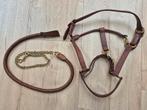 Ongebruikt Leren halster en hengstenketting, Dieren en Toebehoren, Paarden en Pony's | Hoofdstellen en Tuigage, Ophalen of Verzenden