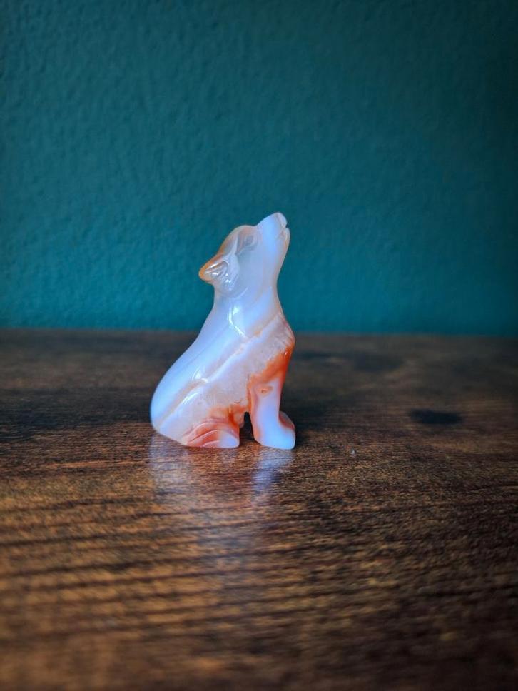 Wolf / hond carneool, Verzamelen, Mineralen en Fossielen, Verzenden