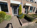 Coniferen, Ophalen, Bloeit niet, Halfschaduw, Overige soorten