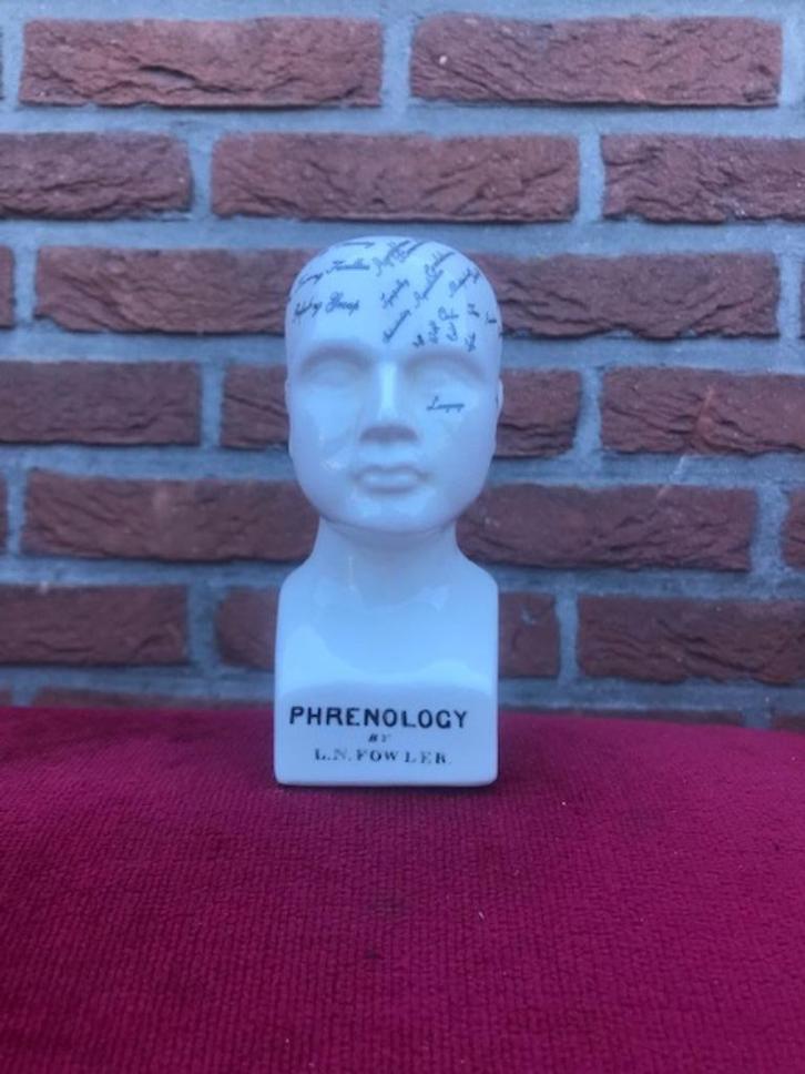 porselein frenologie hoofdje, Antiek en Kunst, Curiosa en Brocante, Ophalen of Verzenden