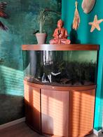 Juwel 350 hoek aquarium smart control helialux verlichting, Dieren en Toebehoren, Vissen | Aquaria en Toebehoren, Ophalen, Zo goed als nieuw