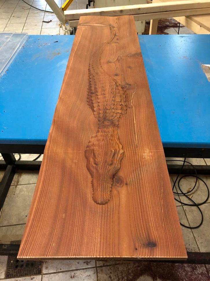 Uniek 3D Houtsnijwerk - Alligator, Antiek en Kunst, Kunst | Beelden en Houtsnijwerken, Ophalen of Verzenden