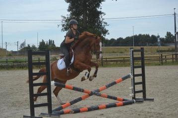 Knappe allround ruin beschikbaar voor biedingen