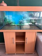 Aquarium Juwel, Dieren en Toebehoren, Vissen | Aquaria en Toebehoren, Ophalen, Gebruikt, Leeg aquarium