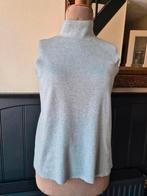 Knit-ted geweldige top S NIEUWSTAAT, Knit-ted, Ophalen of Verzenden, Zo goed als nieuw, Grijs