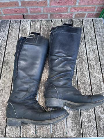 paardrijlaarzen Ariat, 37,5... (38,5) oud beschikbaar voor biedingen