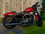 Harley Davidson Sportster 883 Iron Custom, Particulier, 2 cilinders, 883 cc, Chopper