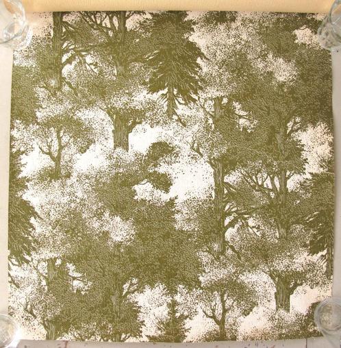 vintage behang, 2 rollen, Huis en Inrichting, Stoffering | Behang, Groen, minder dan 10 m², Ophalen