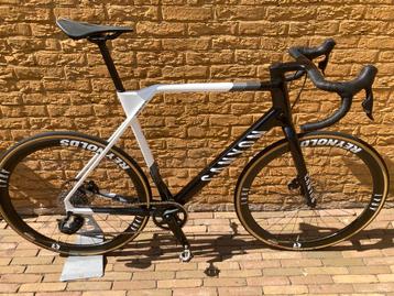 Cyclocrosser/ gravelbike Canyon Inflite CF SL 6 maat XL 2023 beschikbaar voor biedingen