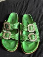 sacha sandaal. 39, Sacha, Gedragen, Groen, Sandalen of Muiltjes