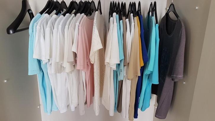 23 mooie t-shirts in diverse kleuren, effen en merken shirts, Kleding | Dames, T-shirts, Zo goed als nieuw, Maat 36 (S), Overige kleuren