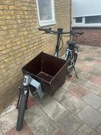 I:SY Cargo, Gebruikt, 47 tot 50 cm, 0 zitjes, Ophalen