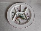 Vakjes Bord 25 cm. Thymus Botanica Villeroy & Boch, Ophalen of Verzenden, Zo goed als nieuw, Bord(en), Overige stijlen
