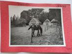 1160 Deventer Paard, Ophalen of Verzenden, Voor 1940