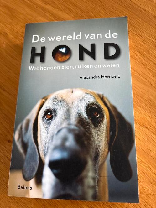 De wereld van de hond - Alexandra Horowitz, Boeken, Dieren en Huisdieren, Zo goed als nieuw, Honden, Ophalen of Verzenden