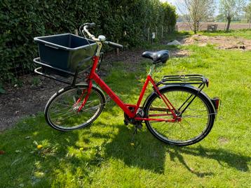 Sterke Falter Transportfiets Hondenfiets Bakfiets Cargobike beschikbaar voor biedingen