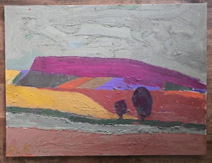 P.C.Kuiper schilderij 60 x 80 cm gesigneerd, Antiek en Kunst, Kunst | Schilderijen | Klassiek, Ophalen of Verzenden