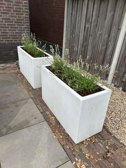 Luxe Design Plantenbak van Polyester – NIEUW – 100x40x60 cm, Tuin en Terras, Bloembakken en Plantenbakken, Nieuw, Overige materialen