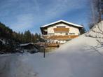 Montafon wintersport 8-10 pers.groot skigebied, 4 of meer slaapkamers, Dorp, Vorarlberg, In bos